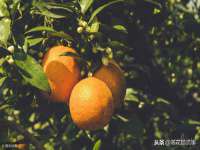 淮安风之帆网络科技有限公司