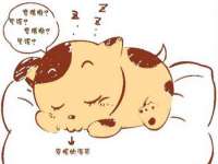 淮安风之帆网络科技有限公司