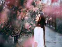 淮安风之帆网络科技有限公司